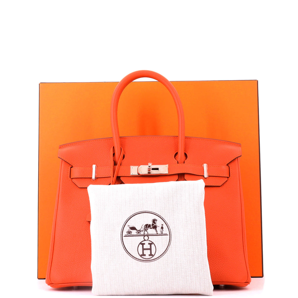 Birkin Handbag Feu Togo with Palladium Hardware 30