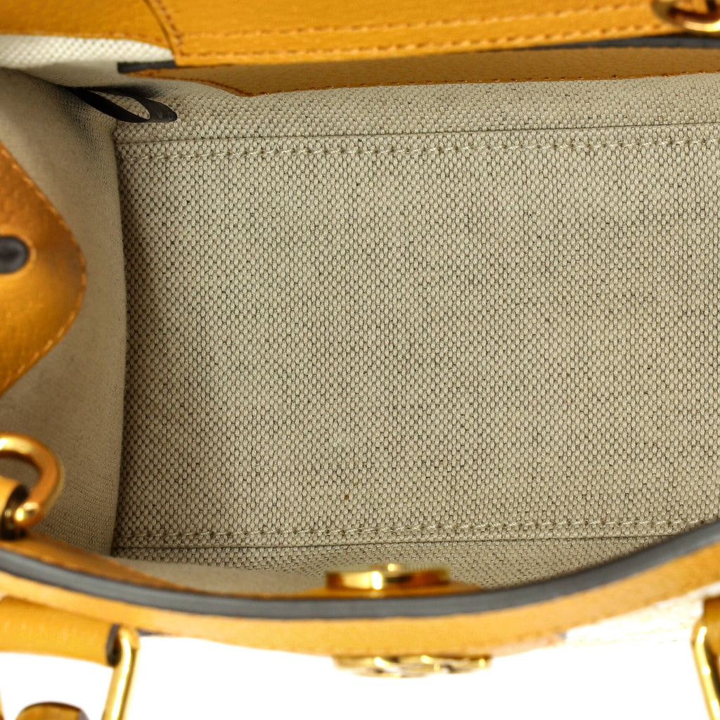 Diana NM Bamboo Handle Tote Houndstooth Raffia Mini