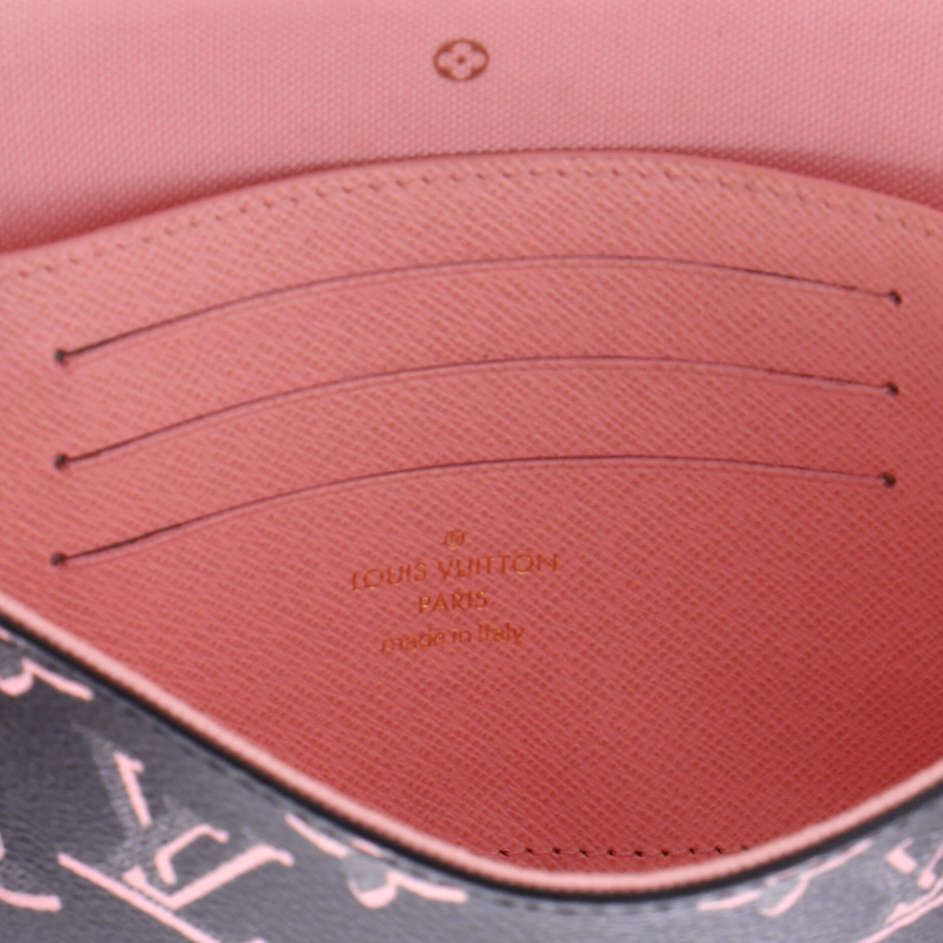Felicie Strap & Go Handbag Fall for You Monogram Canvas