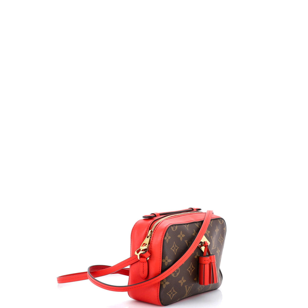 Saintonge Handbag Monogram Canvas with Leather