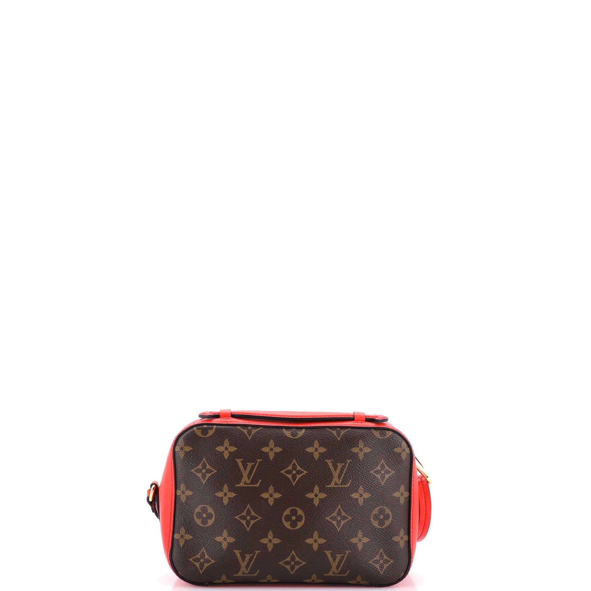 Saintonge Handbag Monogram Canvas with Leather