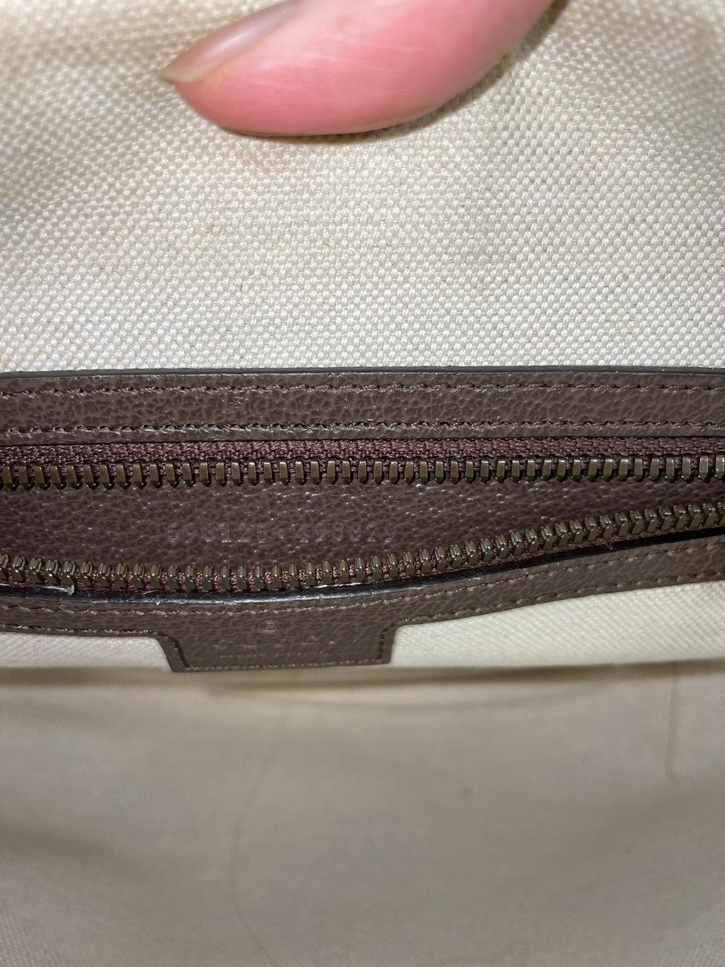Ophidia Half Moon Hobo GG Coated Canvas Small