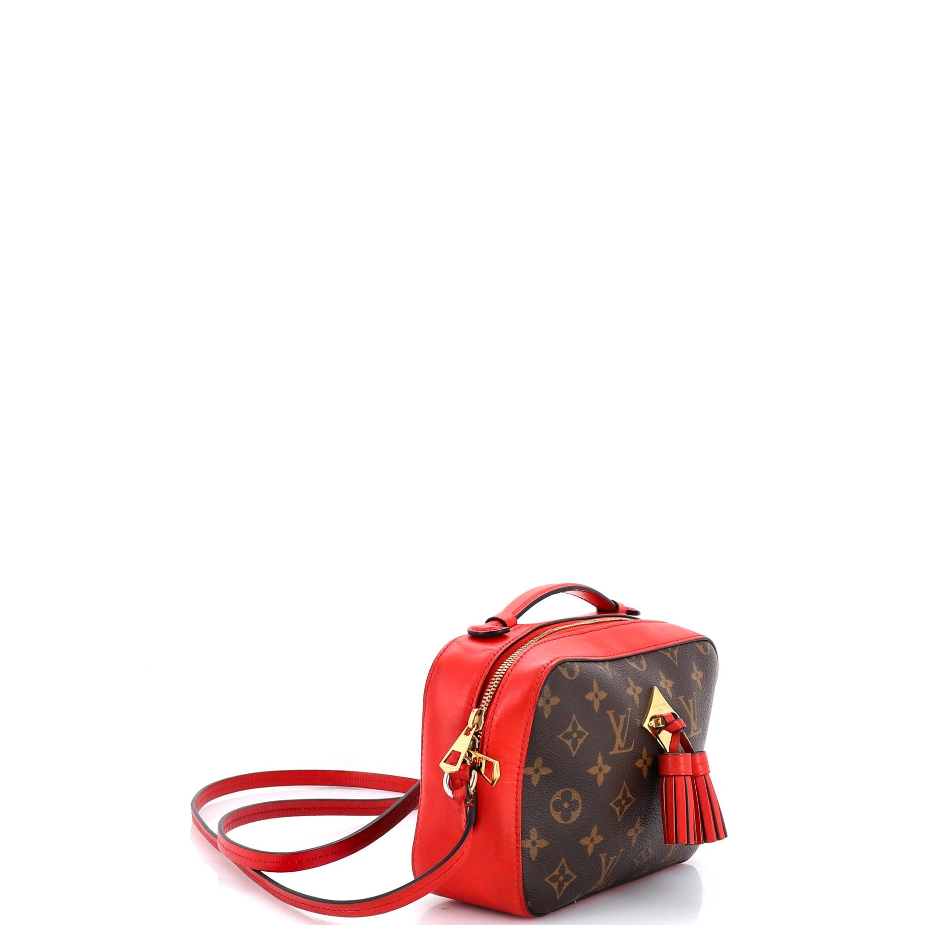 Saintonge Handbag Monogram Canvas with Leather