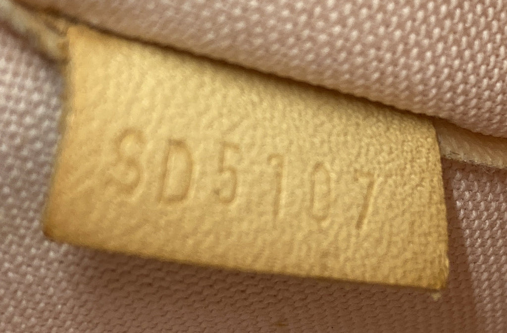 Iena Tote Damier MM