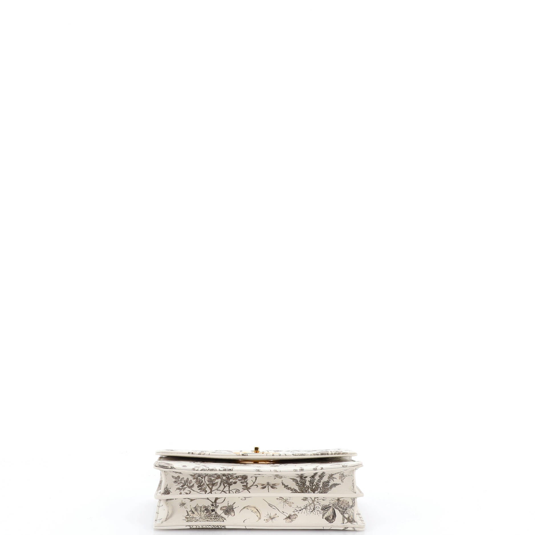 Miss Caro Flap Bag Printed Leather Mini