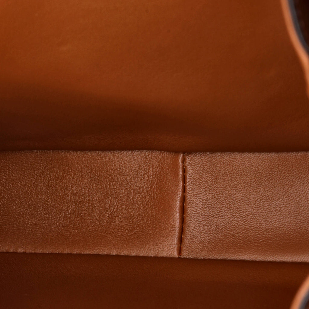 Triomphe Shoulder Bag Canvas with Leather Medium