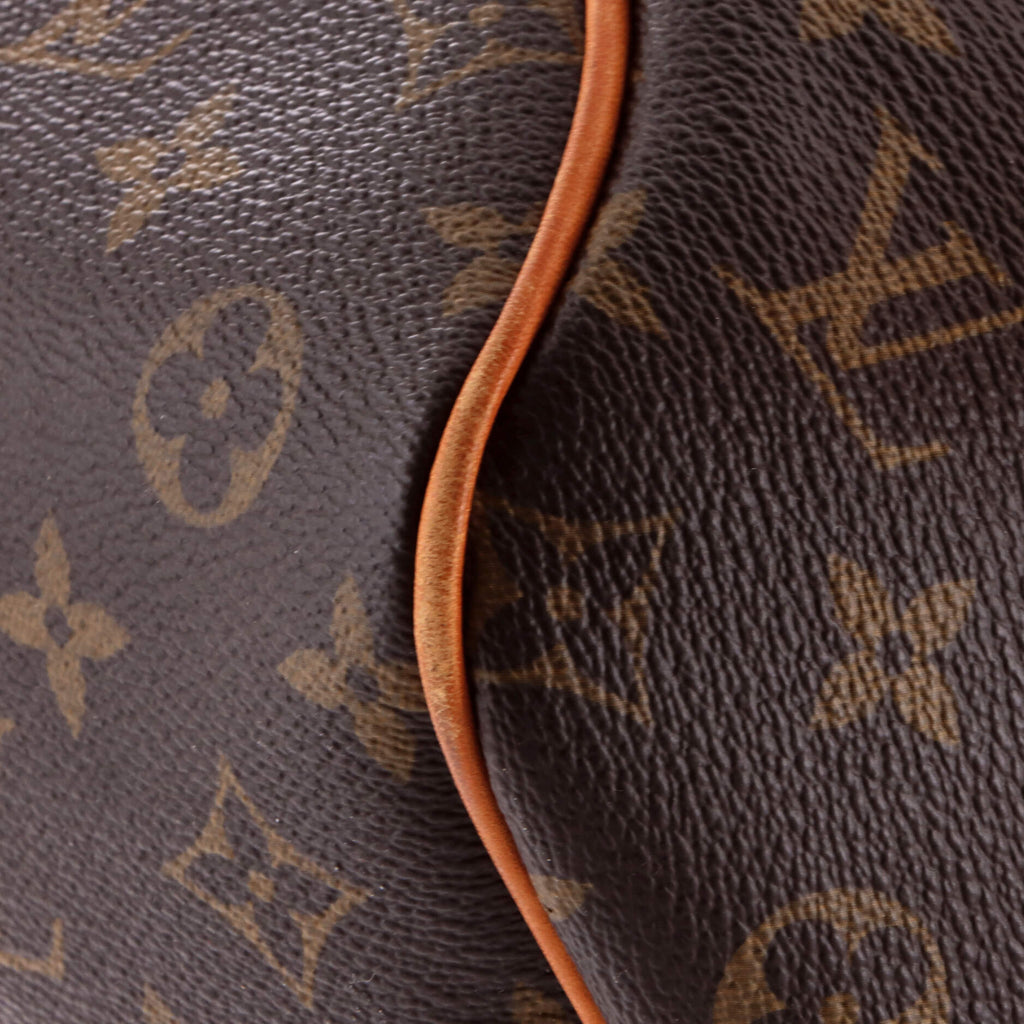 Delightful Handbag Monogram Canvas PM