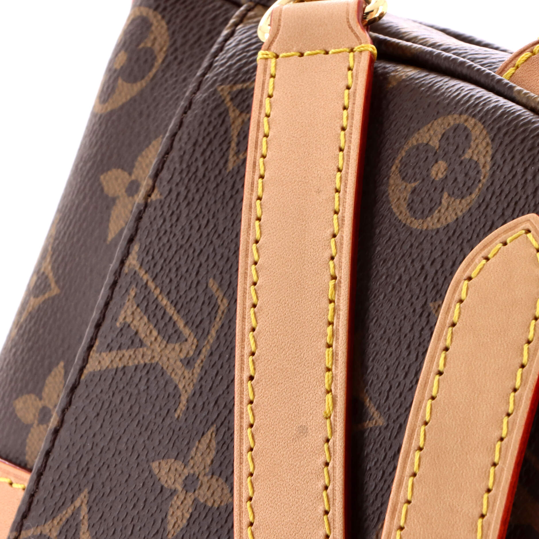 Saumur Handbag Monogram Canvas BB