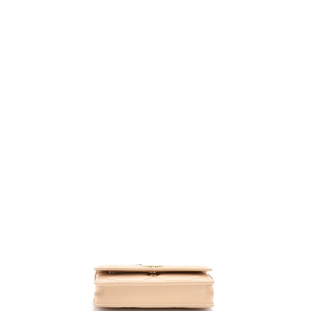 19 Wallet on Chain Quilted Lambskin