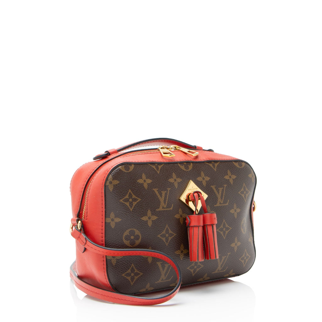 Saintonge Handbag Monogram Canvas with Leather