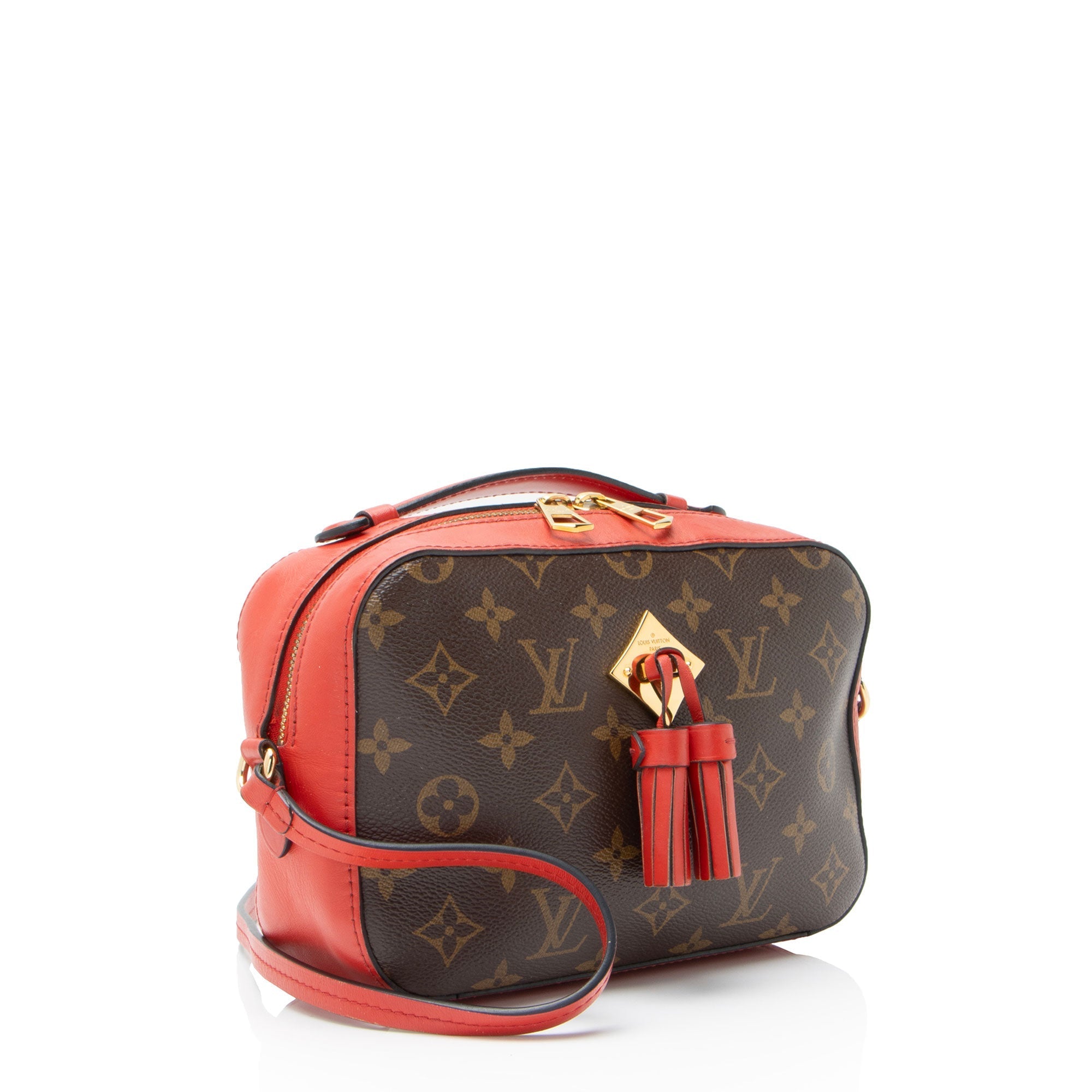 Saintonge Handbag Monogram Canvas with Leather