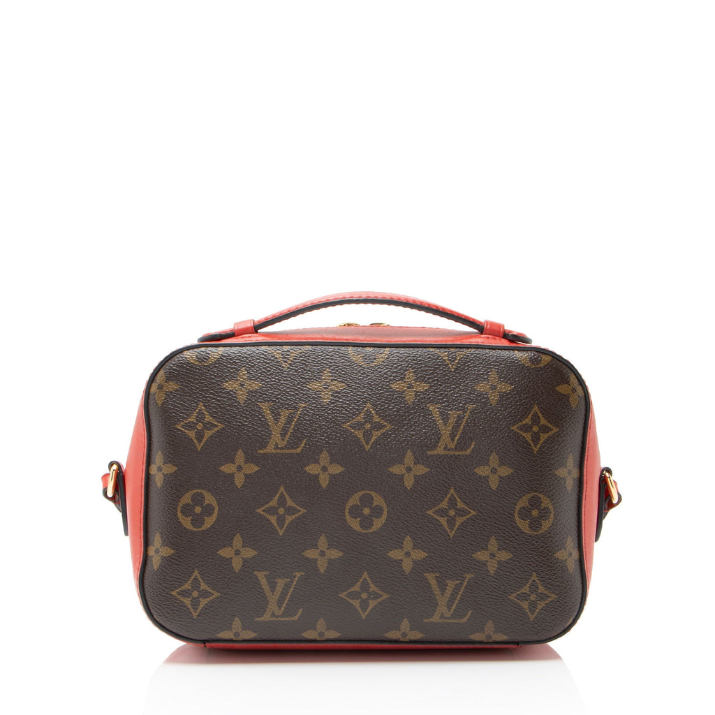 Saintonge Handbag Monogram Canvas with Leather