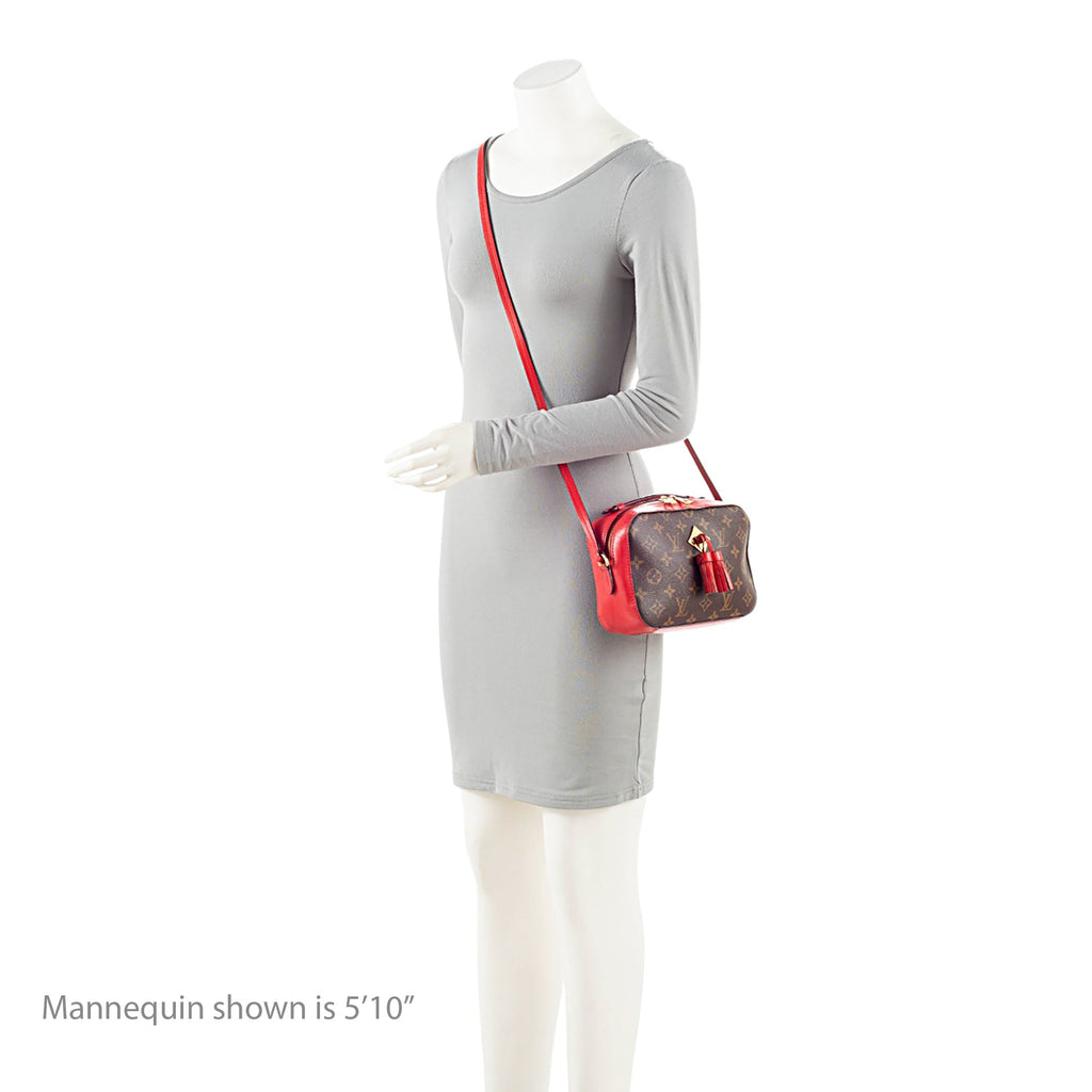 Saintonge Handbag Monogram Canvas with Leather