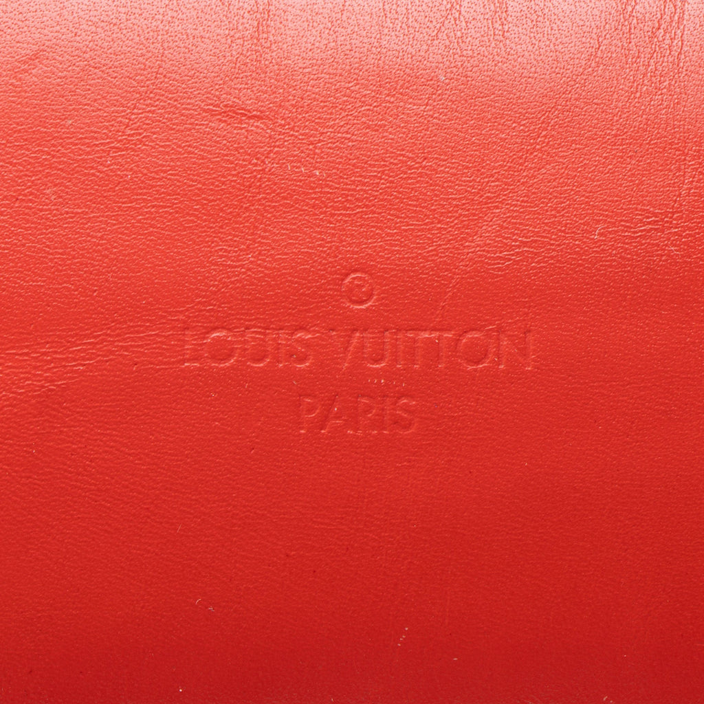 Saintonge Handbag Monogram Canvas with Leather