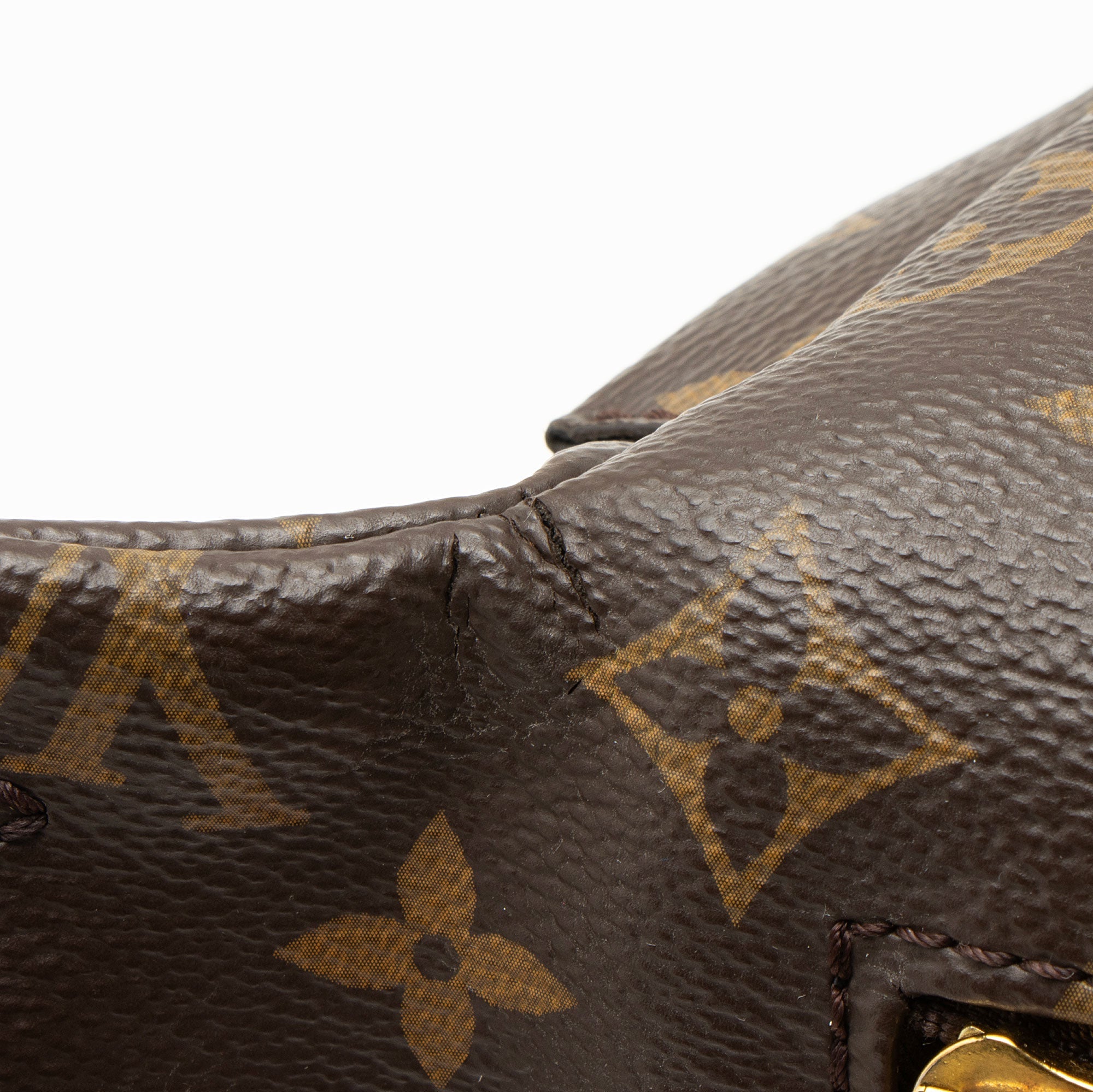 Bum Bag Monogram Canvas