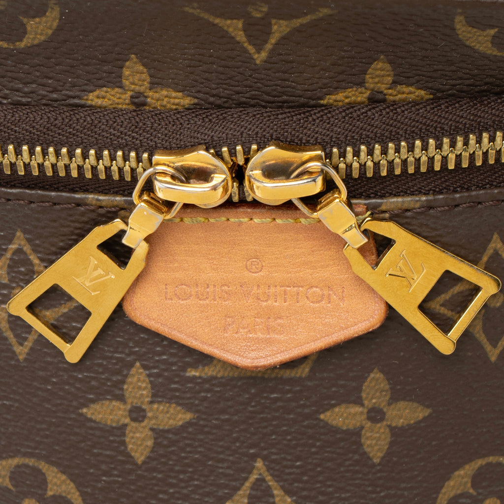 Bum Bag Monogram Canvas