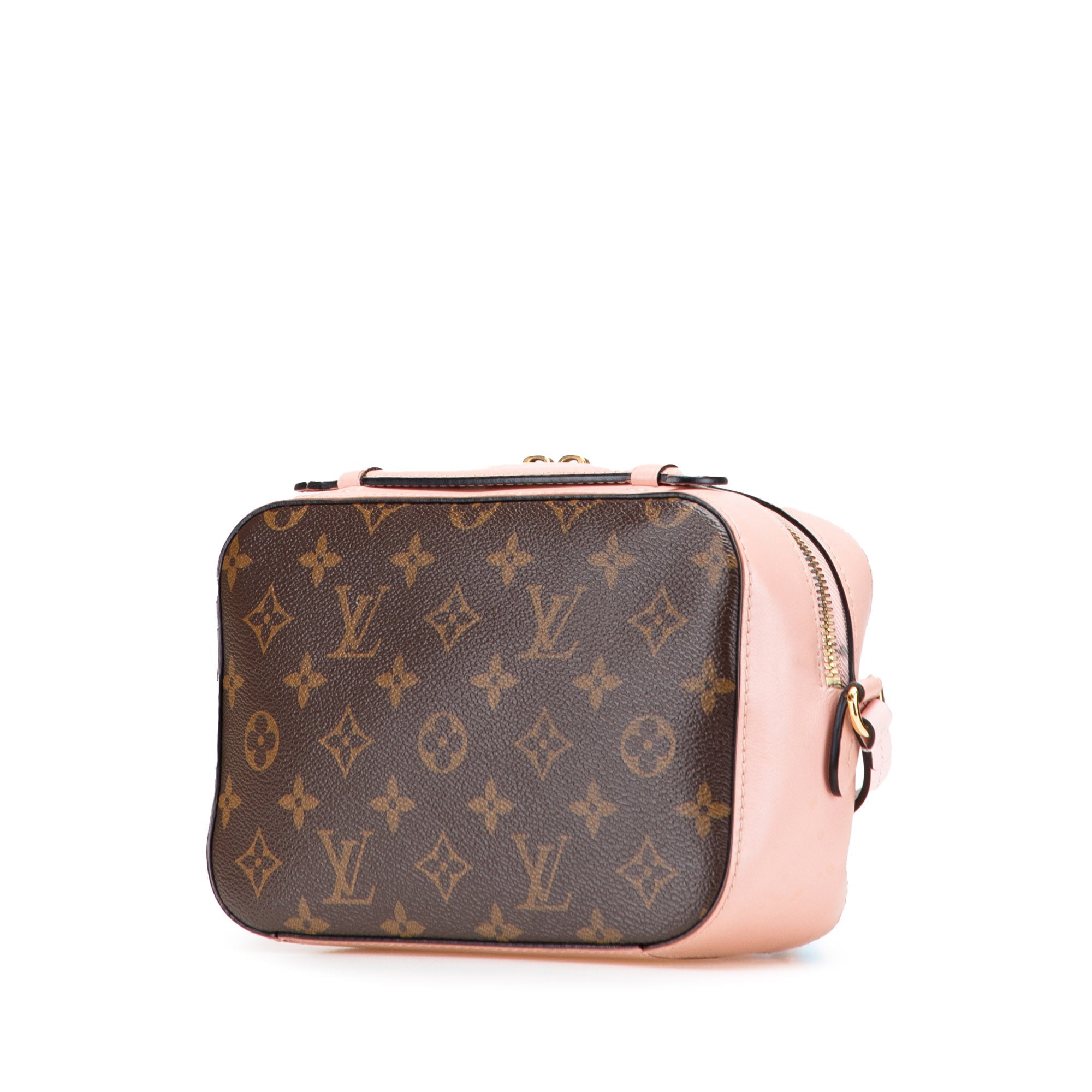 Saintonge Handbag Monogram Canvas with Leather