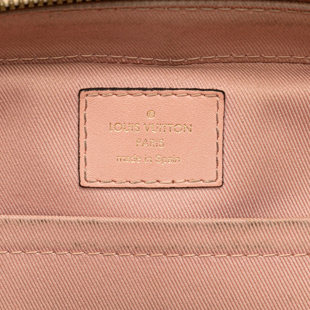 Saintonge Handbag Monogram Canvas with Leather