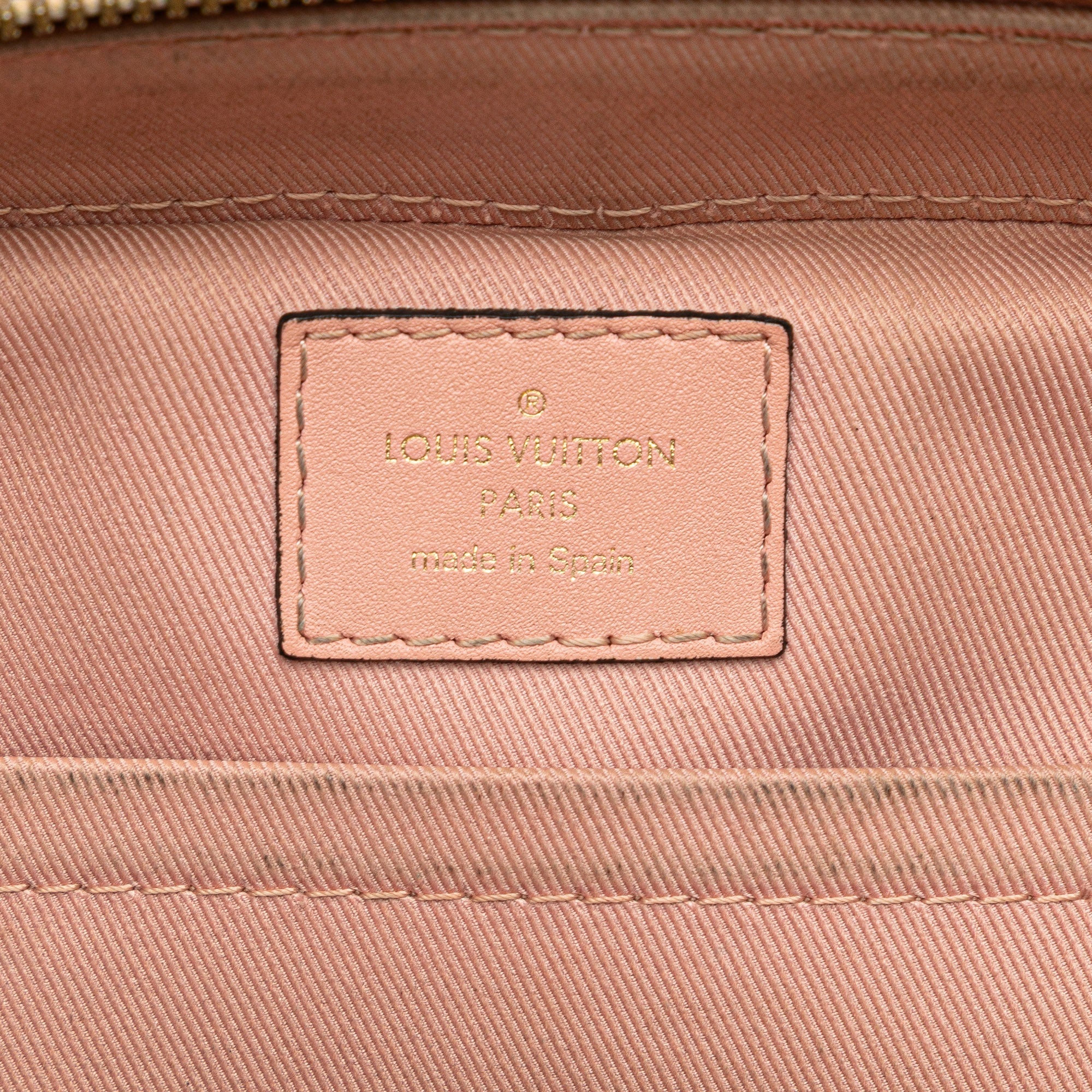 Saintonge Handbag Monogram Canvas with Leather