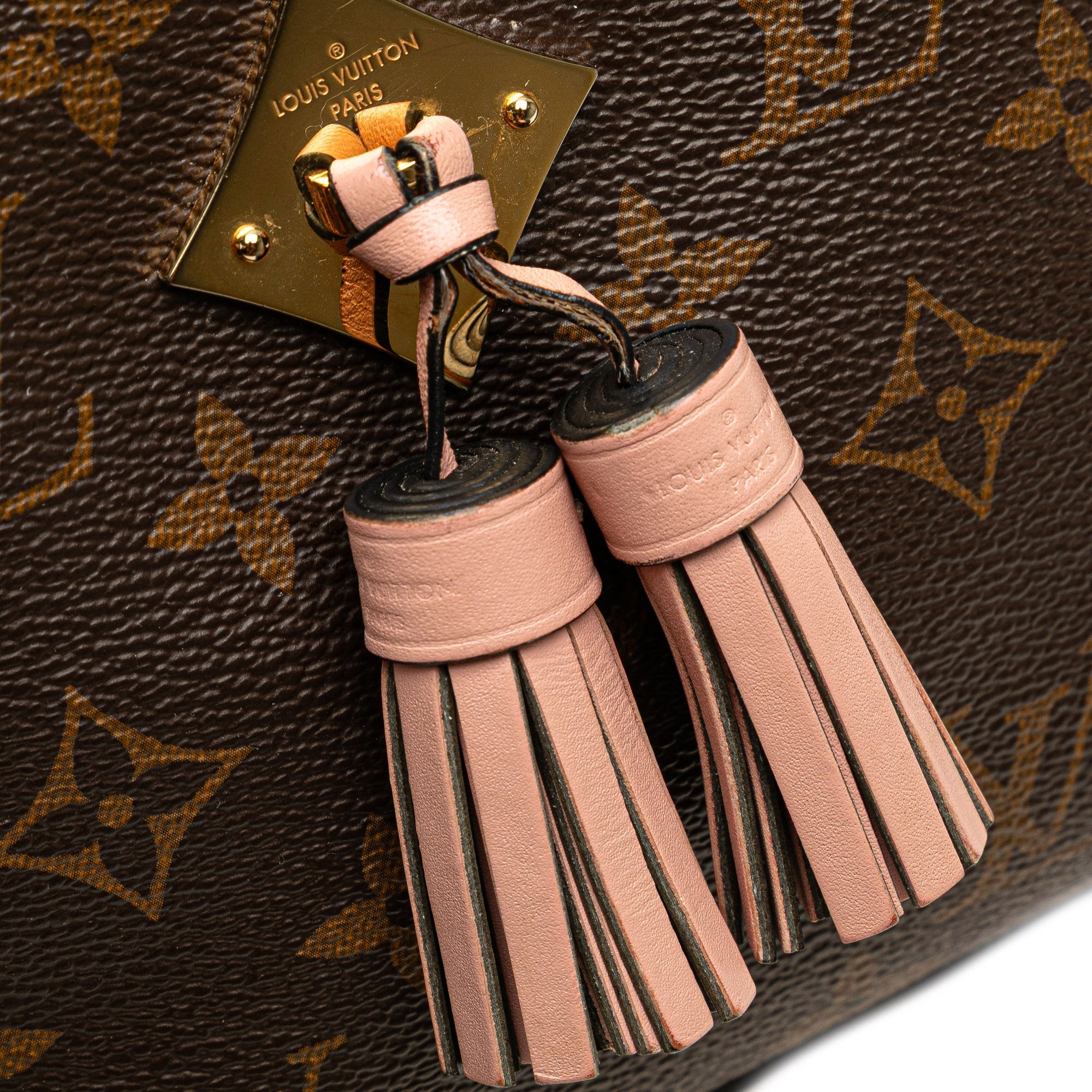 Saintonge Handbag Monogram Canvas with Leather