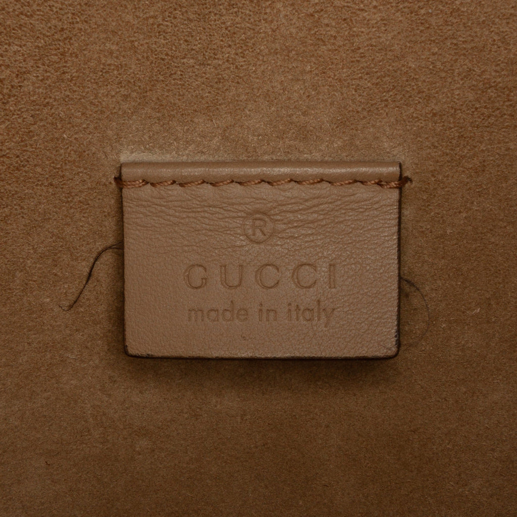 Dionysus Bag GG Coated Canvas Mini