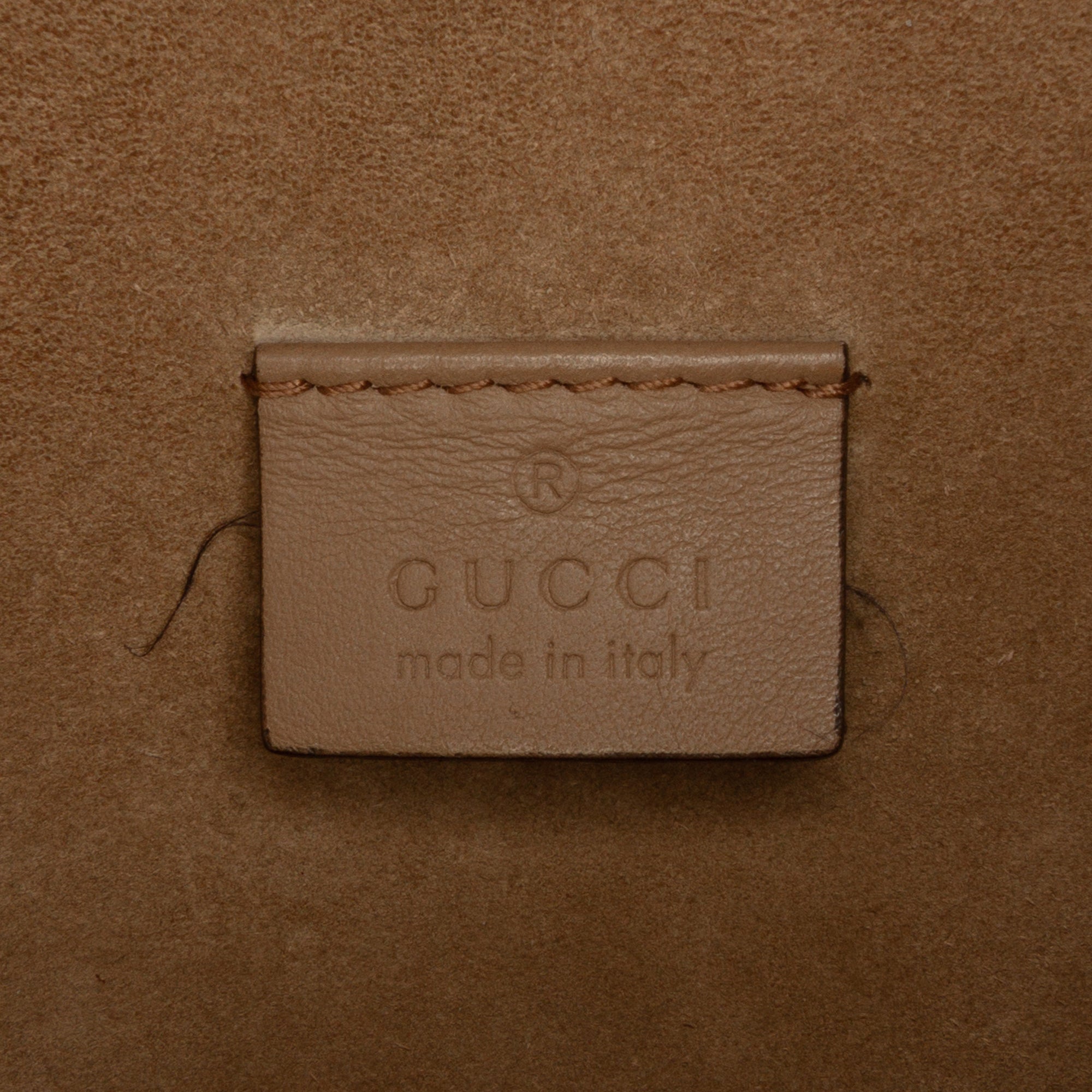 Dionysus Bag GG Coated Canvas Mini
