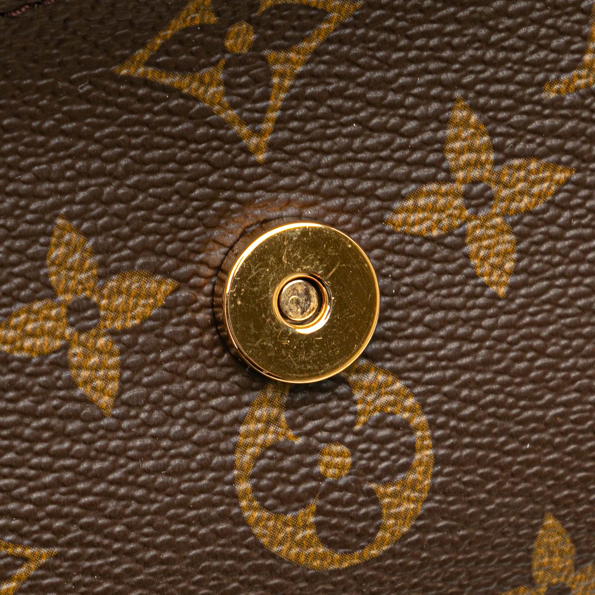 Twin Handbag Monogram Canvas PM