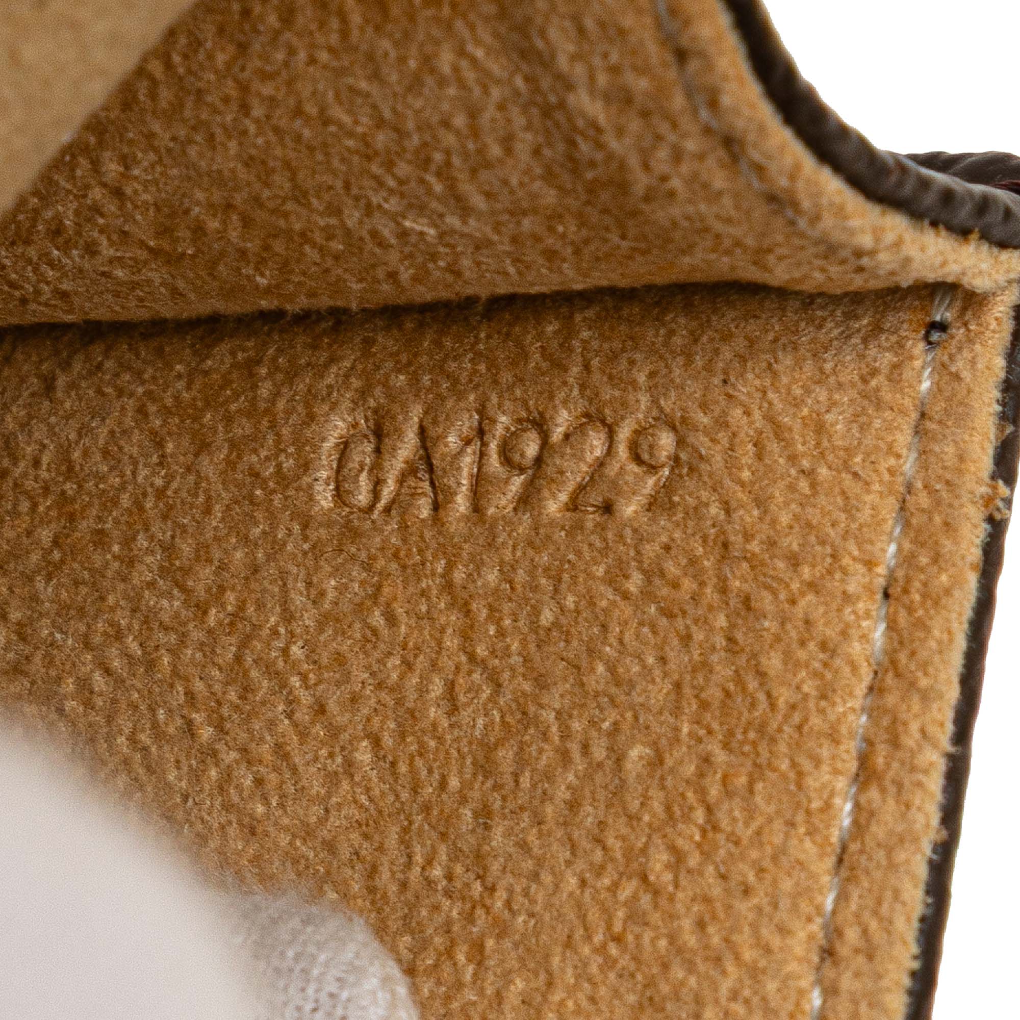 Twin Handbag Monogram Canvas PM