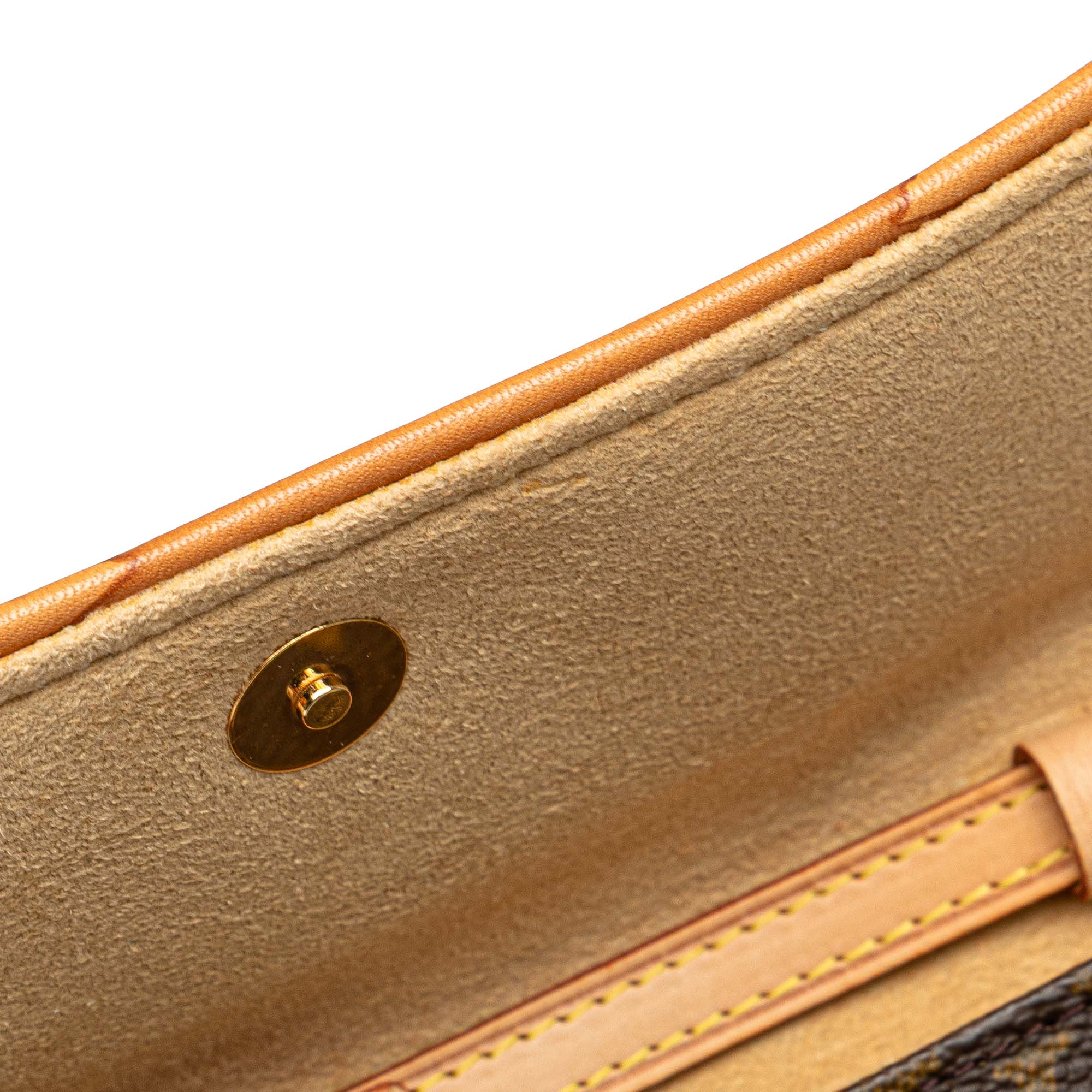 Twin Handbag Monogram Canvas PM