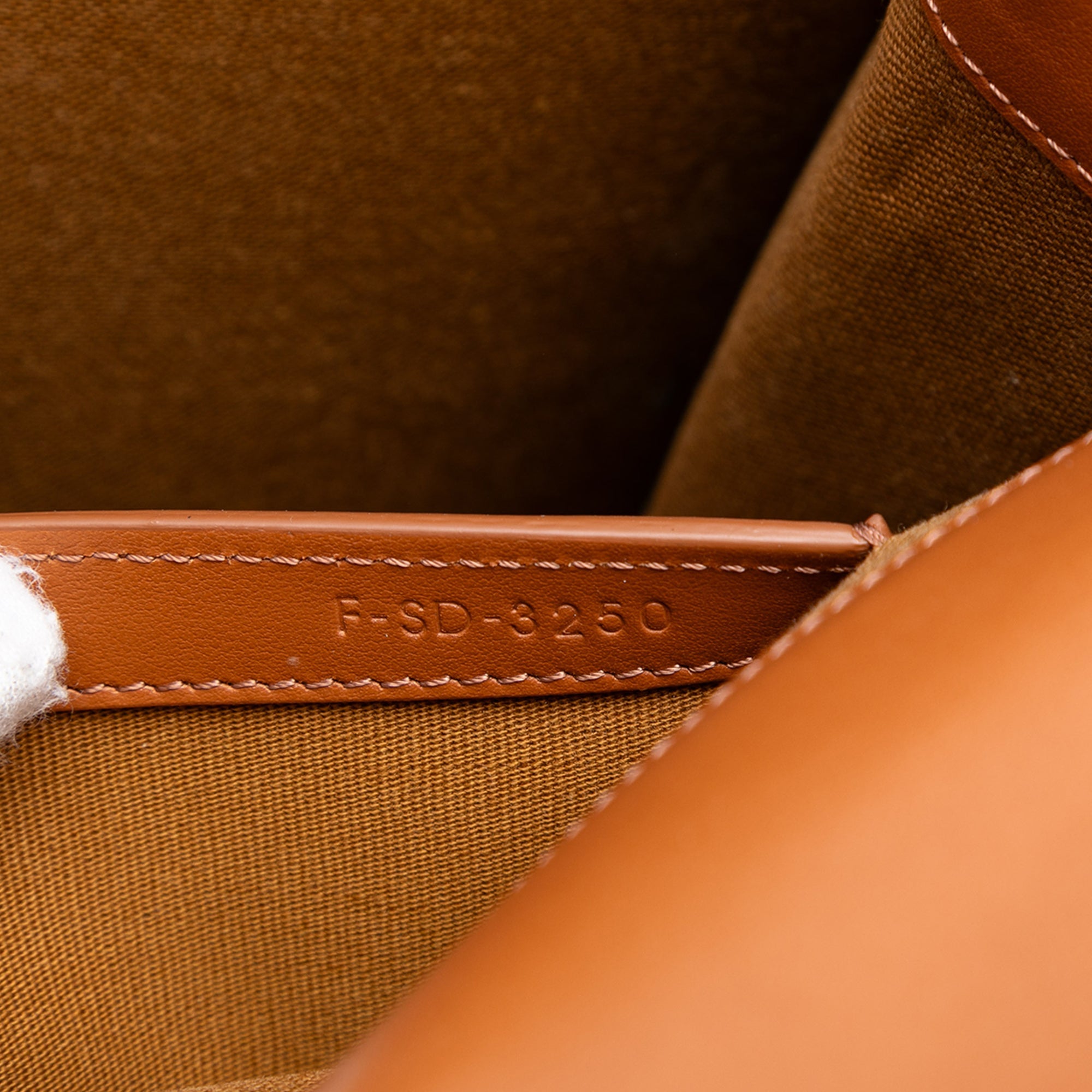 Wallet on Strap Triomphe Coated Canvas