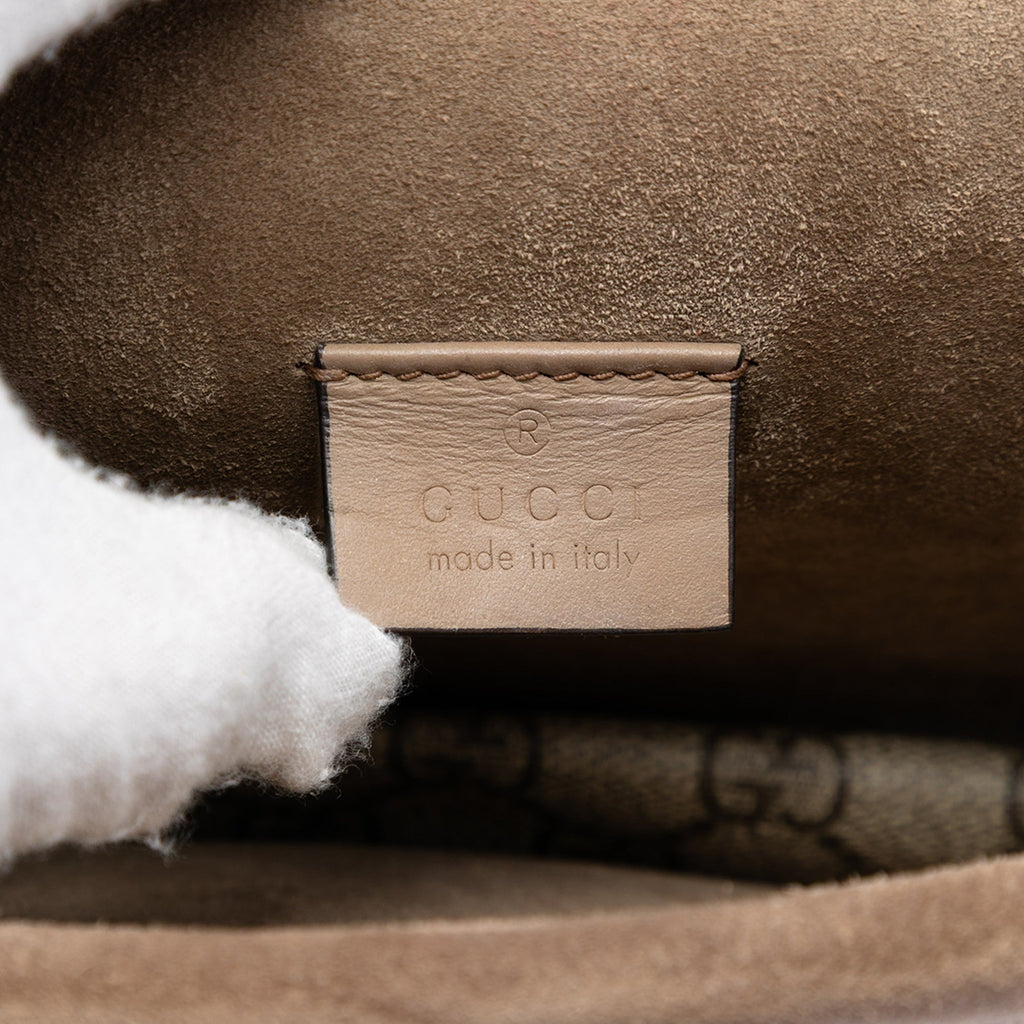 Dionysus Bag GG Coated Canvas Mini