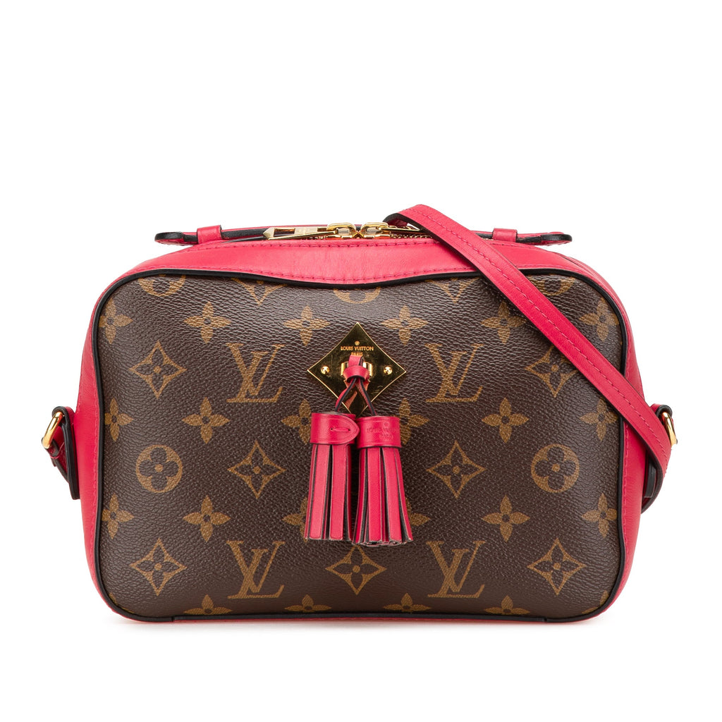 Saintonge Handbag Monogram Canvas with Leather