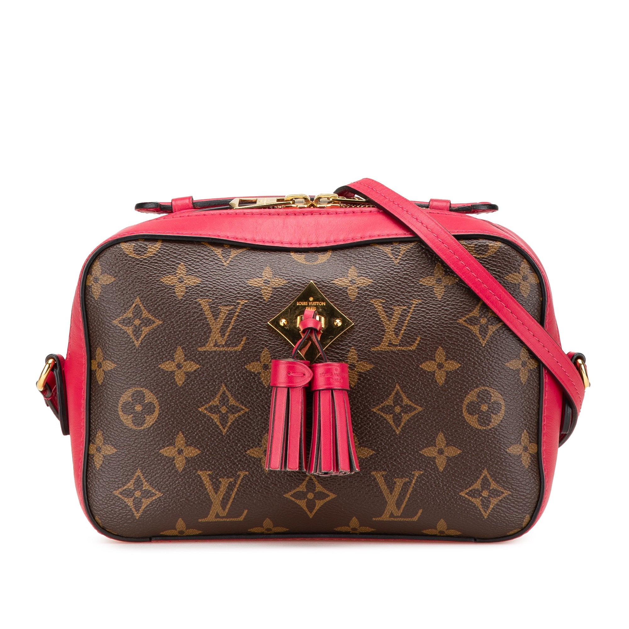Saintonge Handbag Monogram Canvas with Leather