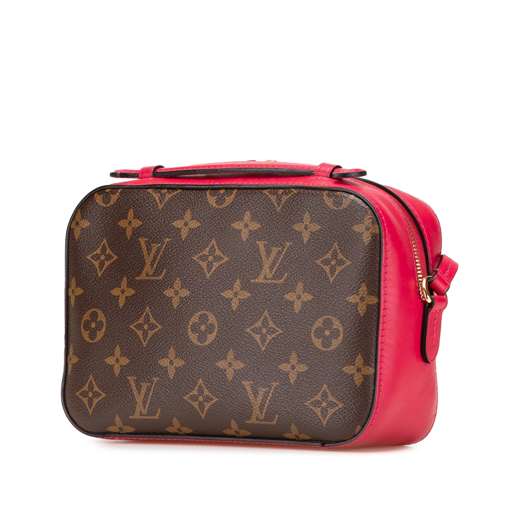 Saintonge Handbag Monogram Canvas with Leather