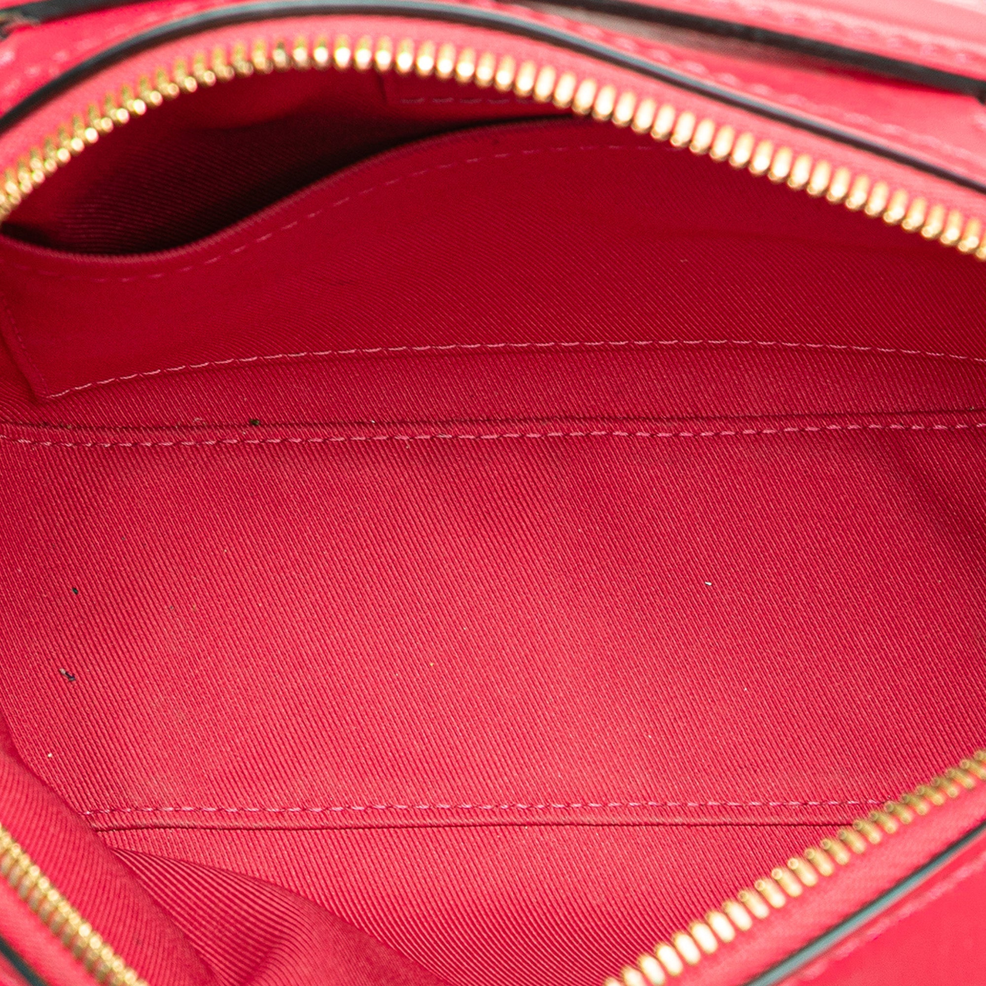 Saintonge Handbag Monogram Canvas with Leather
