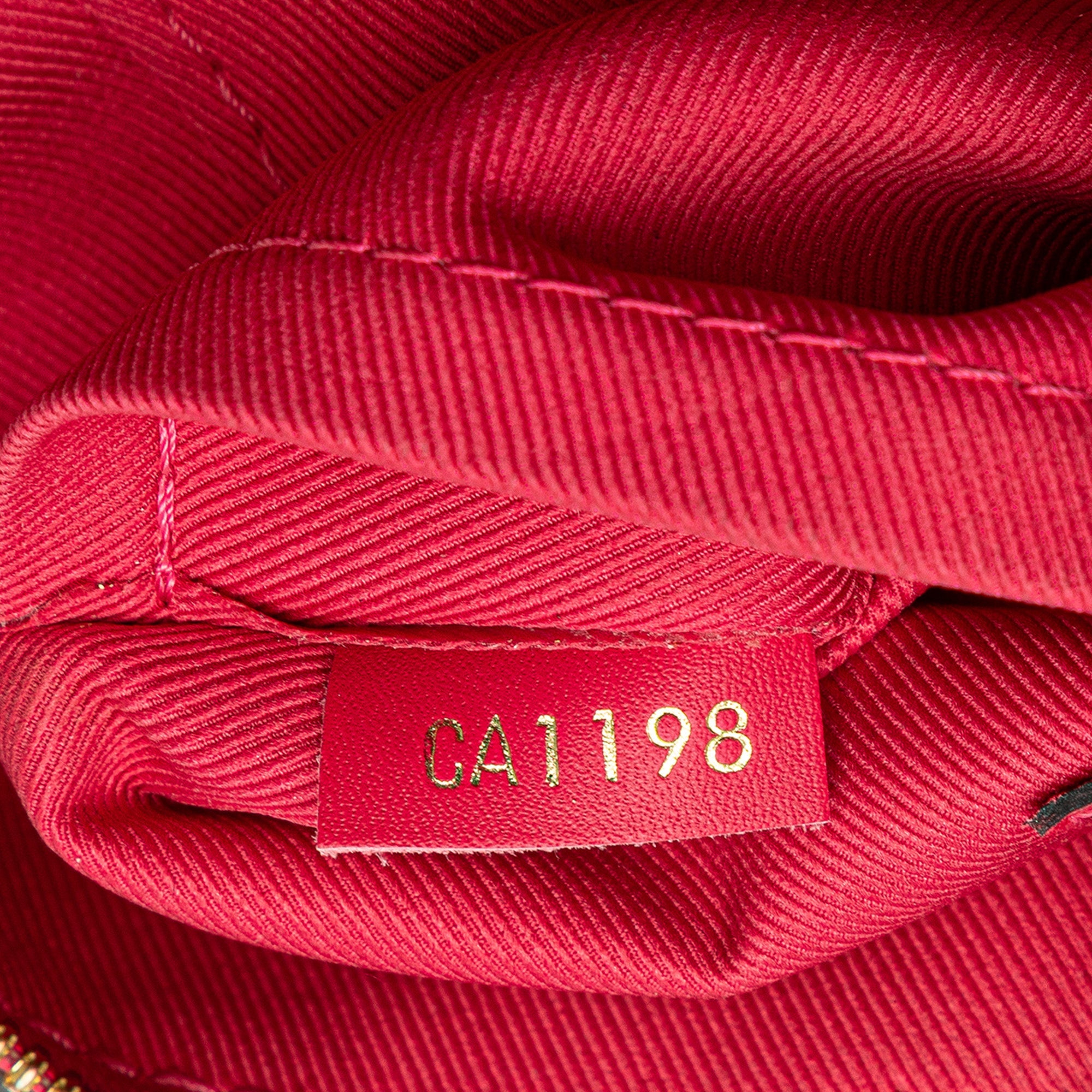 Saintonge Handbag Monogram Canvas with Leather