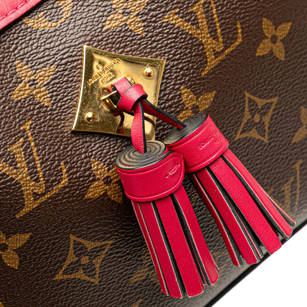 Saintonge Handbag Monogram Canvas with Leather
