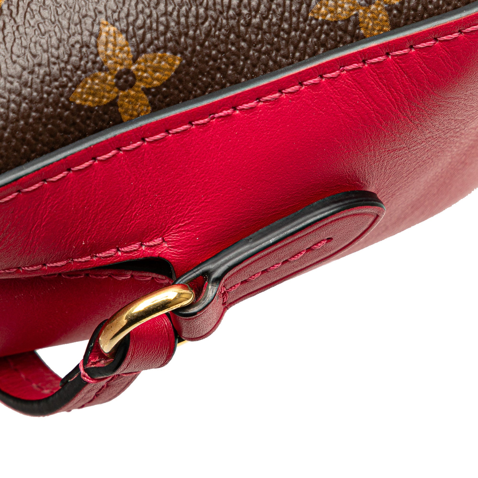 Saintonge Handbag Monogram Canvas with Leather