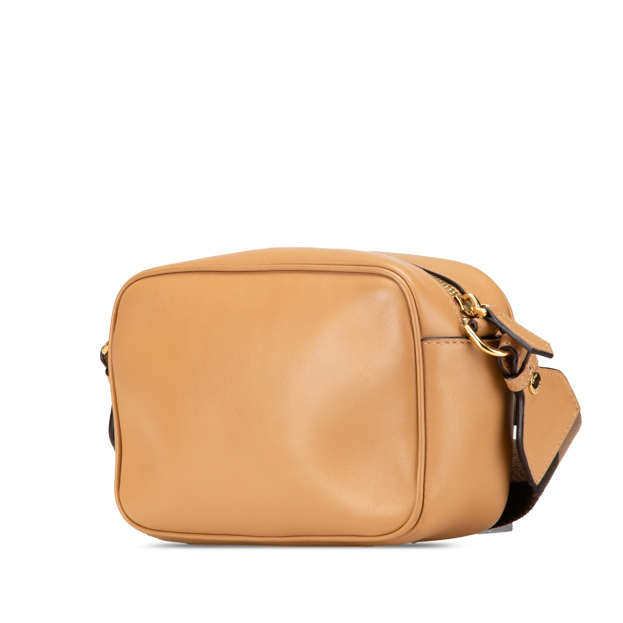 Baguette Camera Crossbody Bag Leather