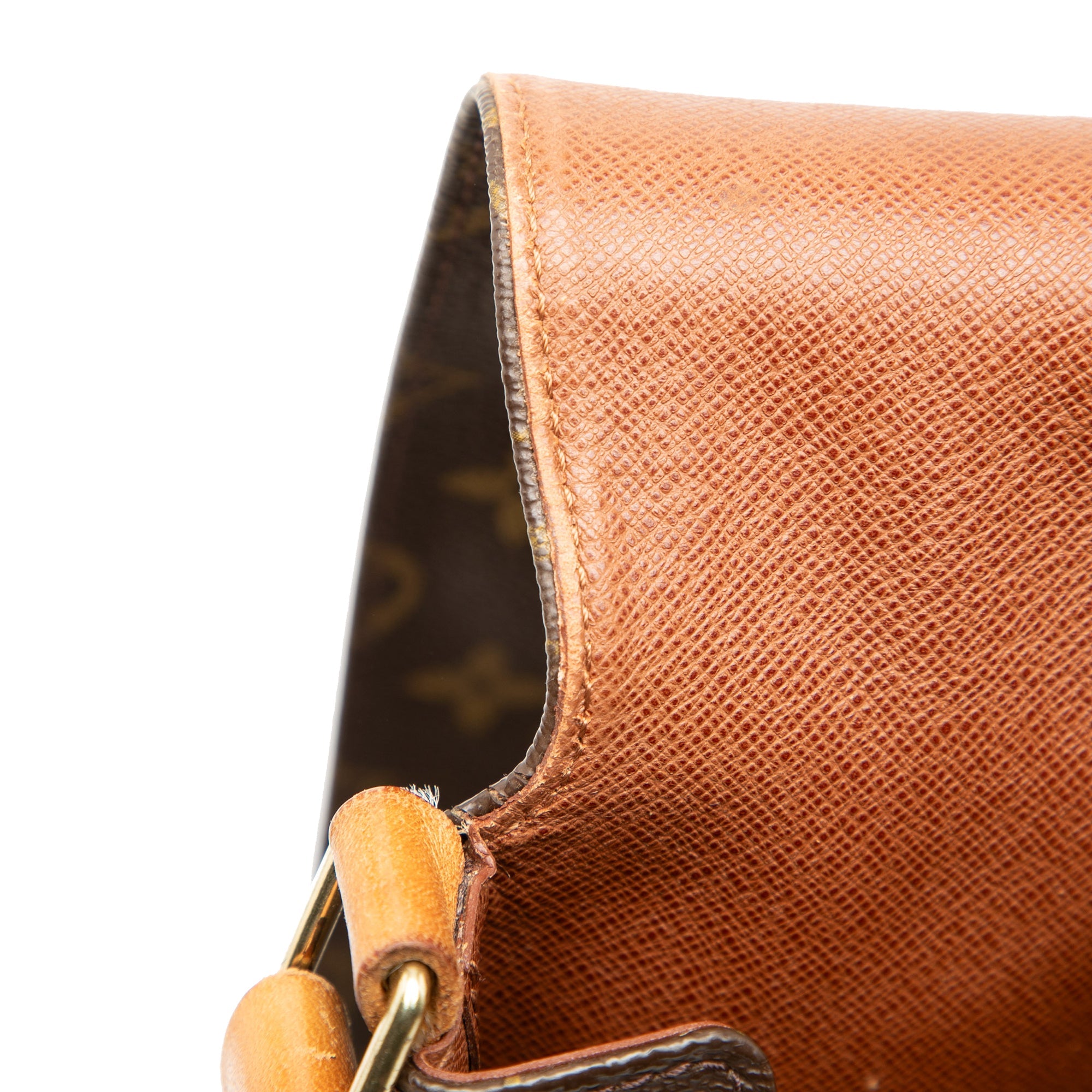Musette Salsa Handbag Monogram Canvas GM
