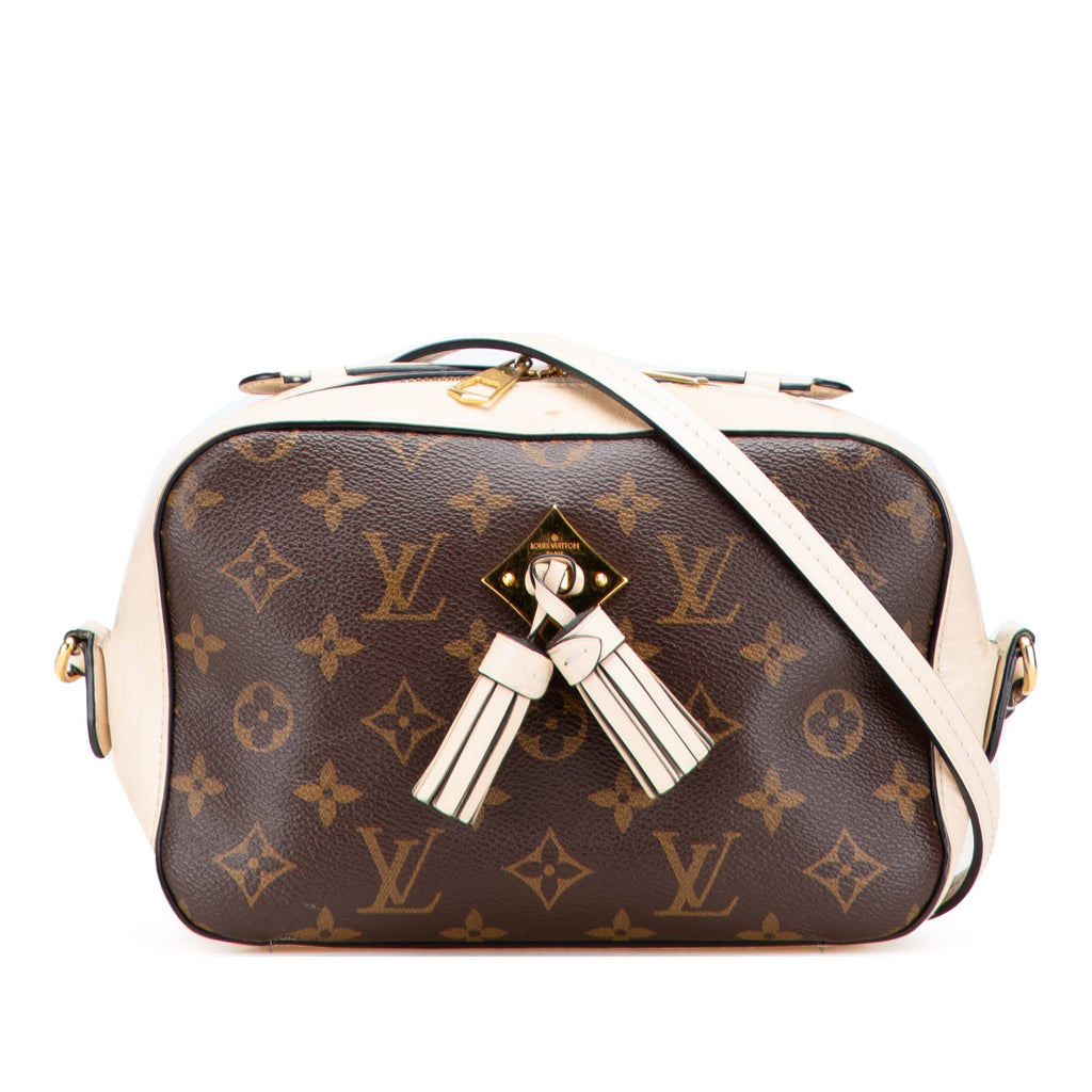 Saintonge Handbag Monogram Canvas with Leather