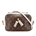 Saintonge Handbag Monogram Canvas with Leather