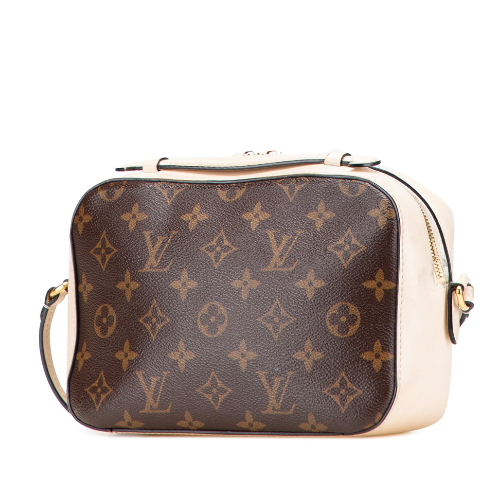 Saintonge Handbag Monogram Canvas with Leather