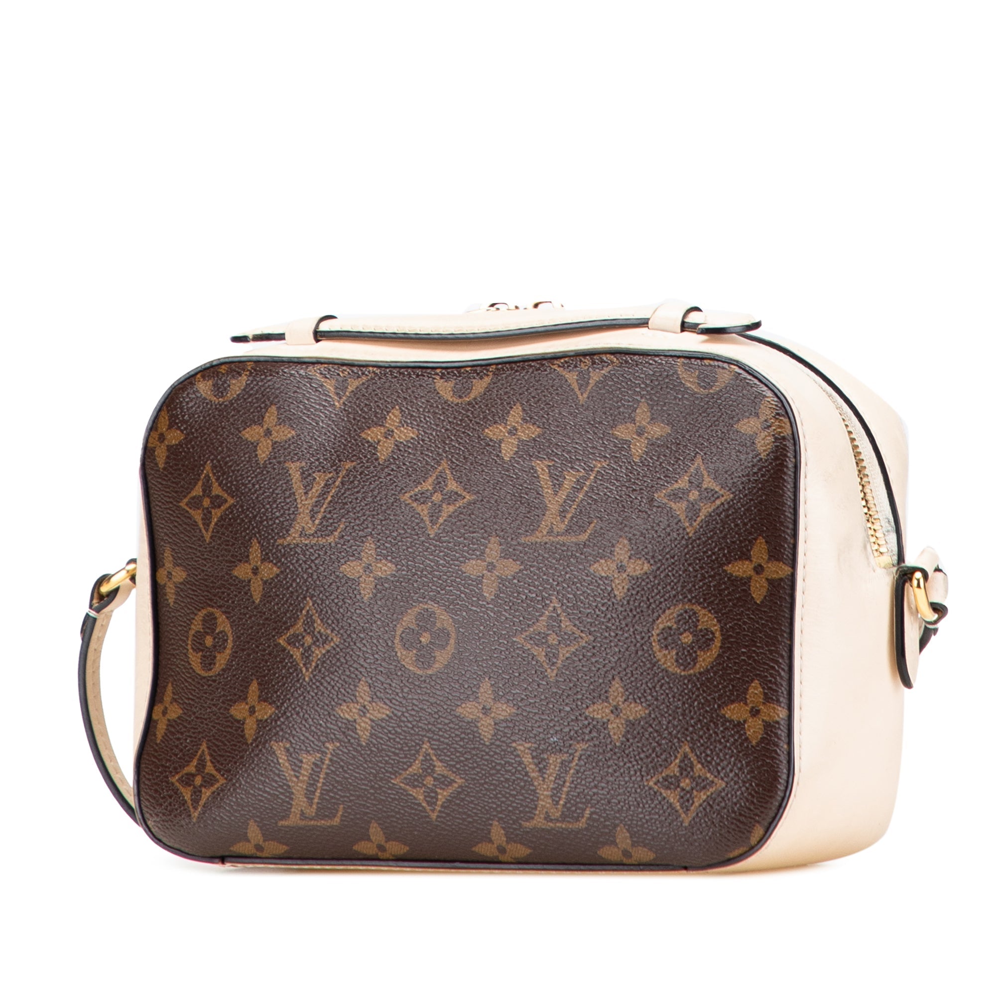 Saintonge Handbag Monogram Canvas with Leather