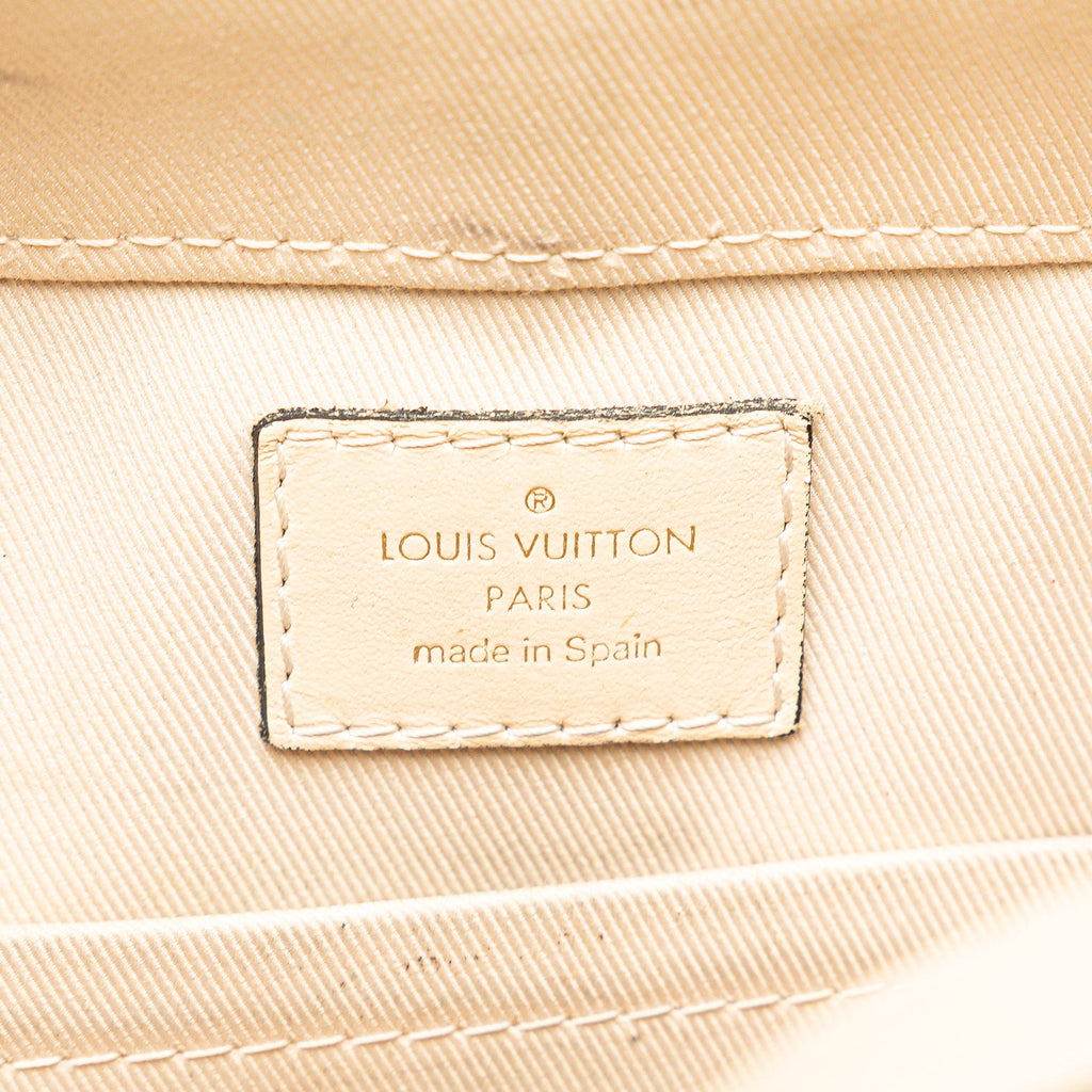 Saintonge Handbag Monogram Canvas with Leather