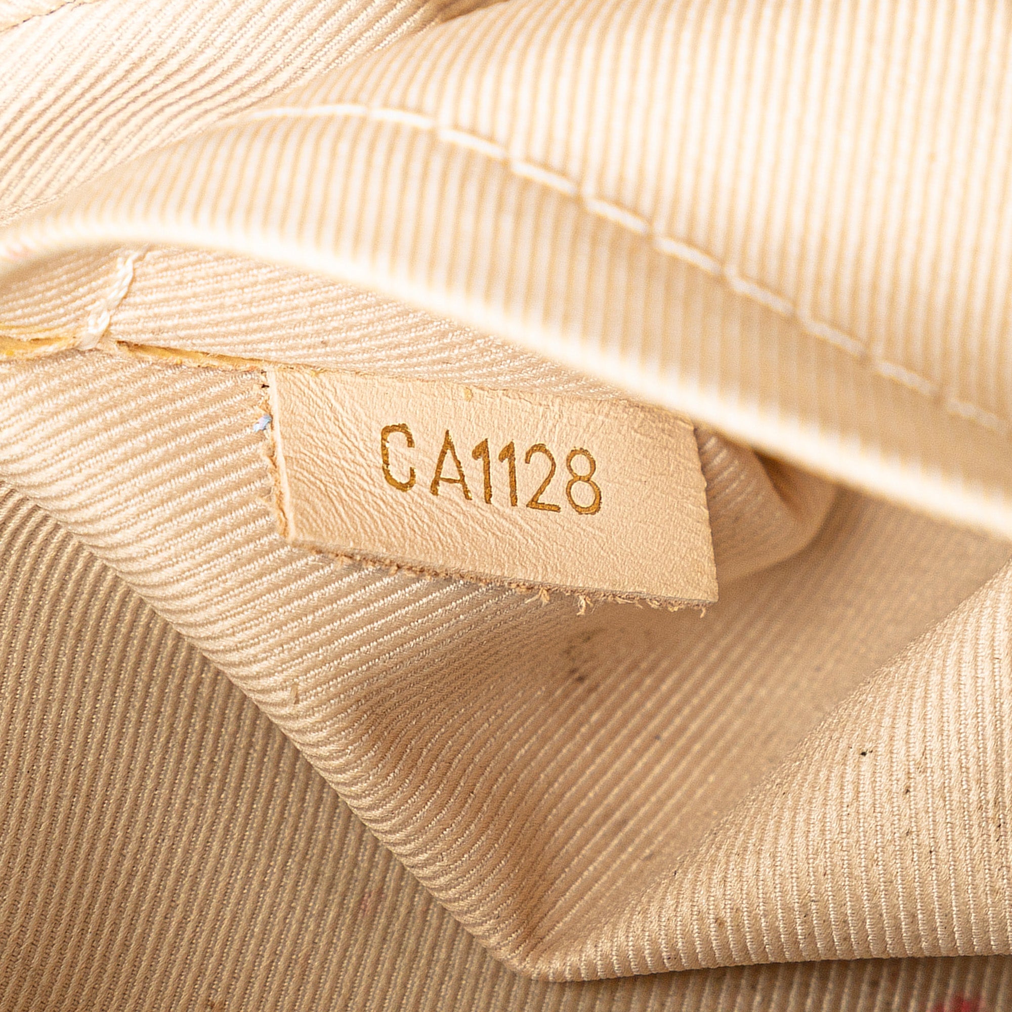 Saintonge Handbag Monogram Canvas with Leather