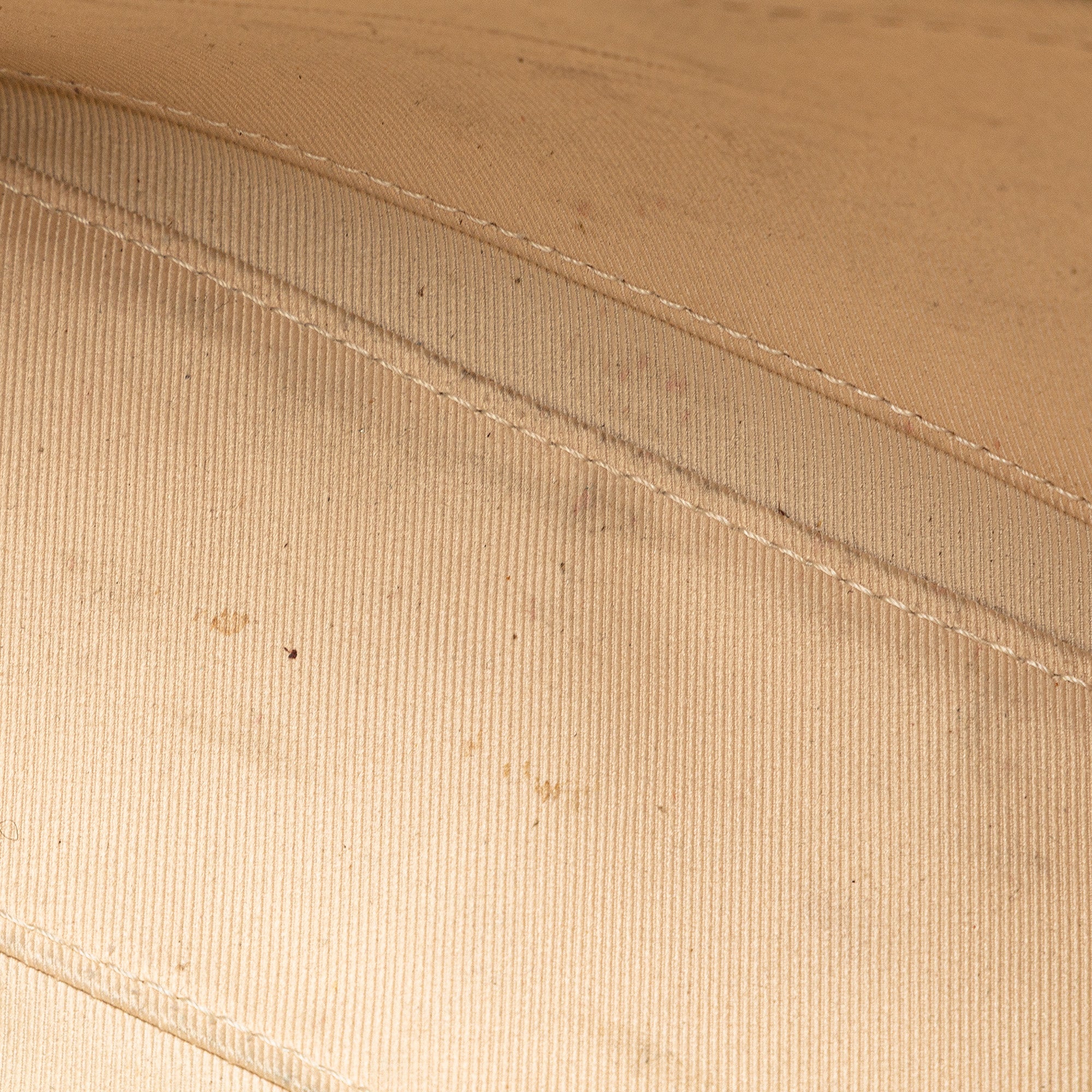 Saintonge Handbag Monogram Canvas with Leather