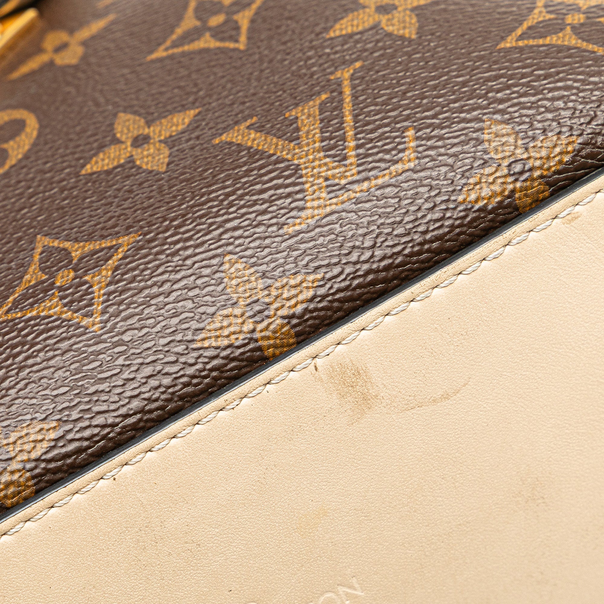 Saintonge Handbag Monogram Canvas with Leather