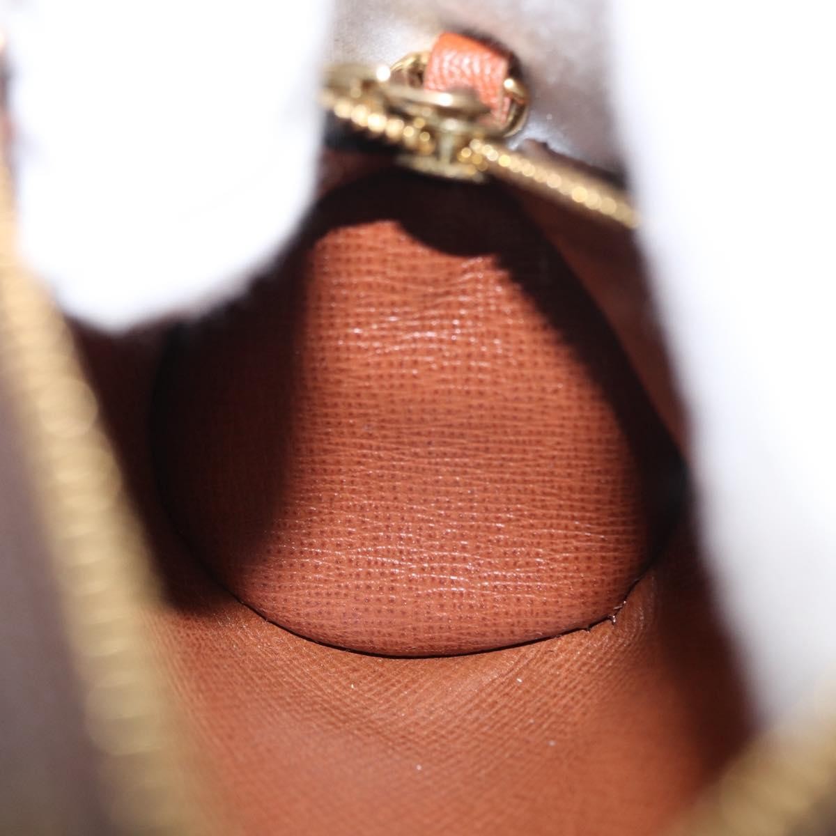Louis Vuitton Papillon Pochette Monogram Canvas Brown Canvas Clutche & Pouche Bag (Pre-Owned)