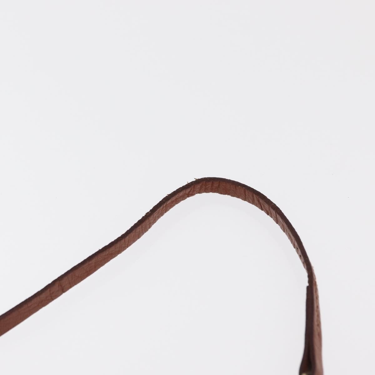Louis Vuitton Papillon Pochette Monogram Canvas Brown Canvas Clutche & Pouche Bag (Pre-Owned)